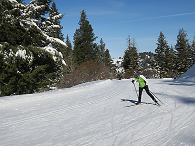 Bogus skate skier
